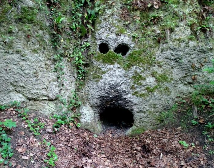 0-02-05-ee03499a74affe73af4632743ccd3d7322b6e146e60141156bd38dea9d56ed49_b9d87aa542f8e1ae