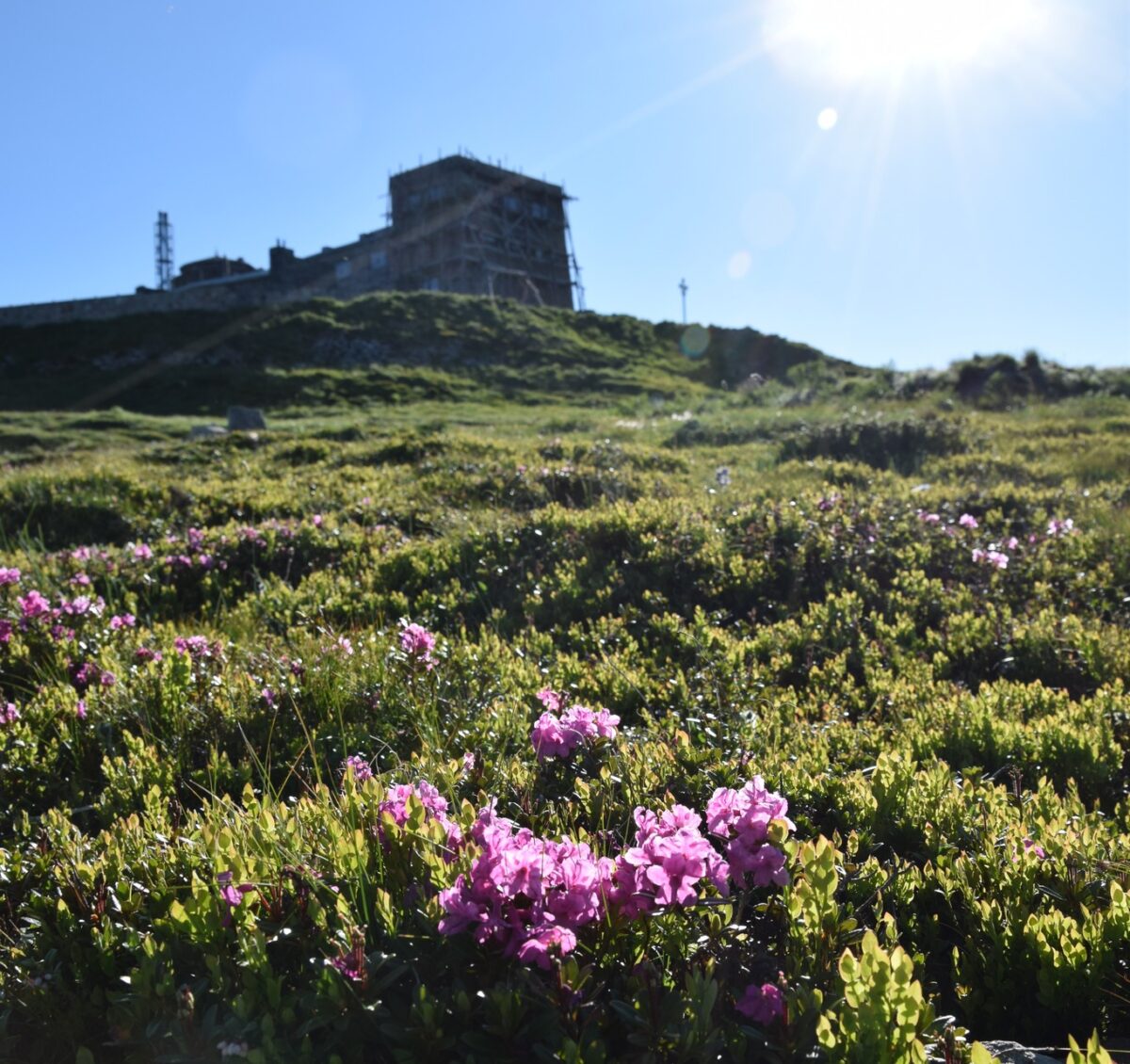 516584752_1277968503917382_6257395507772171925_n