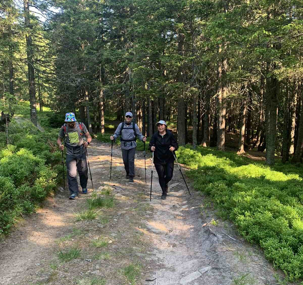 зображення_viber_2025-07-05_09-21-30-748